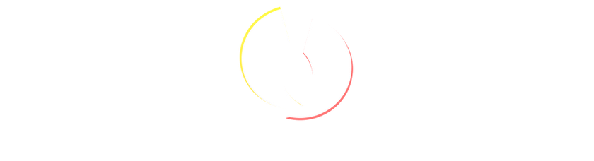 VirtX